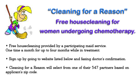 cleaning for a reason explanation